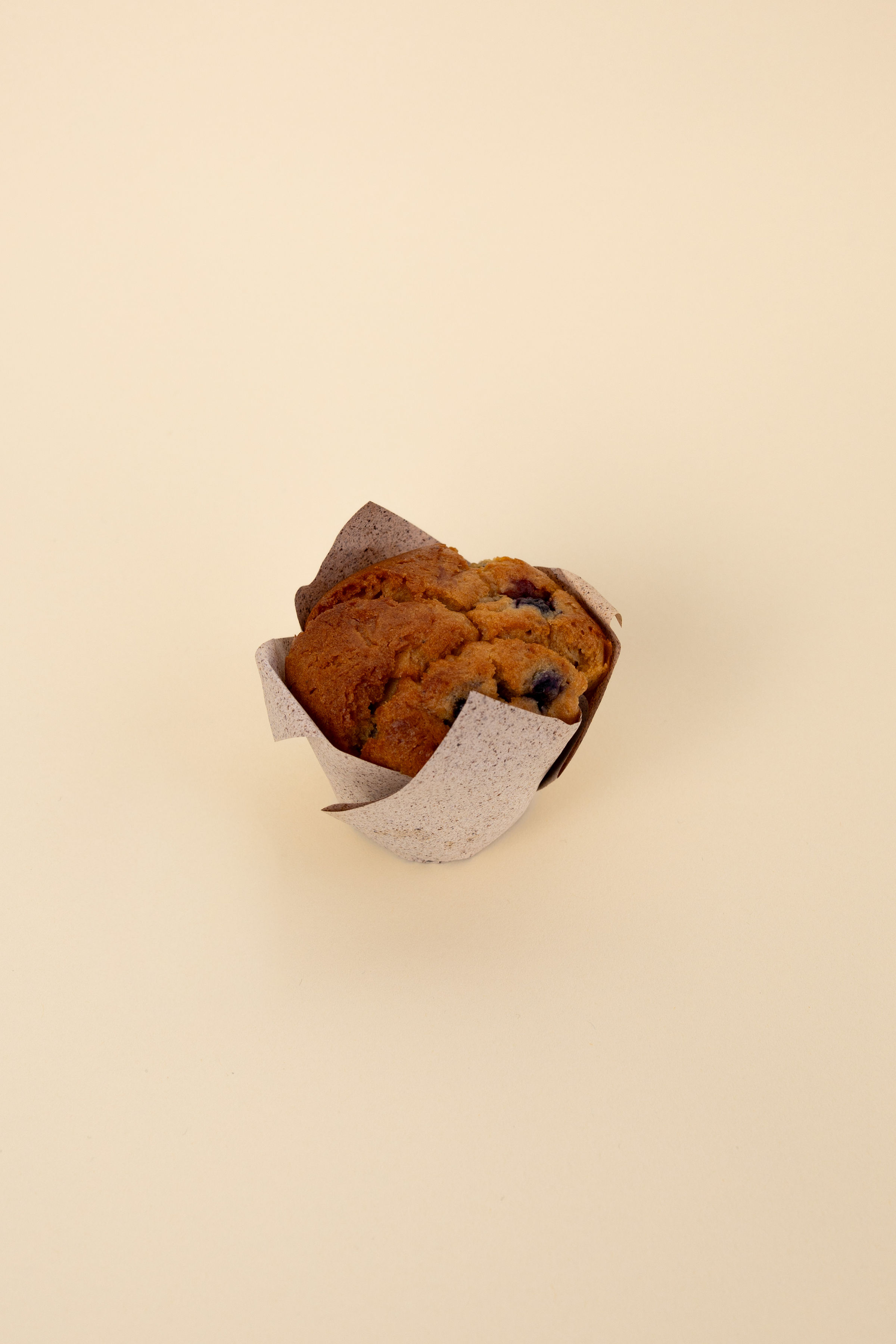 Blueberry Muffin